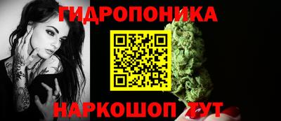Альфа ПВП Канаш