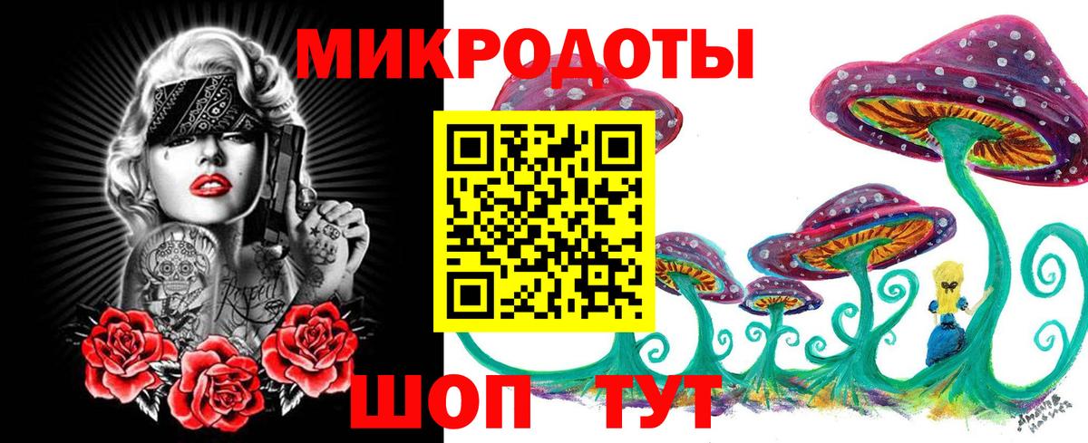 Псилоцибиновые грибы Psilocybe  Вход с VPN  Кушва 